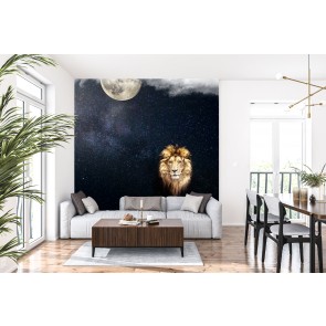 Midnight Lion Moon Stars Wallpaper Wall Mural