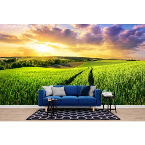 Green Field Sunset Panoramic Wallpaper Wall Mural