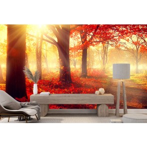 Red Autumn Forest Sunlit Trees Wallpaper Wall Mural