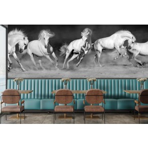 Galloping Horses Black And White Wallpaper Wall Mural