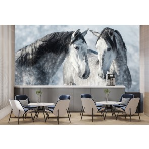 Beautiful Grey Stallions Winter Horse Wallpaper Wall Mural