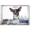 Cane da cucciolo di Chihuahua Fotomurali Animale sveglio bianco Carta Da Parati Ragazzi Foto Decorazione domestica