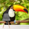 Uccello tropicale Fotomurali Animale Carta Da Parati Camera per bambini Office Foto Decorazione domestica