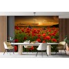 Fiore di papavero rosso Fotomurali Tramonto Carta Da Parati Soggiorno Camera da letto Photo Decor