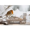 Bianco Inverno Fotomurali Red Robin Nature Carta Da Parati Soggiorno Foto Decorazione domestica