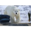 Orso polare Fotomurali Paesaggio invernale bianco Carta Da Parati Ragazzi Foto Decorazione domestica