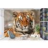 Tigre del Bengala Fotomurali Animali di giungla Carta Da Parati Camera per bambini Foto Decorazione domestica