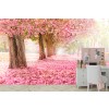Cherry Blossom Tree Path Wallpaper Wall Mural