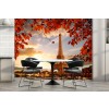 Eiffel Tower Autumn Paris Wallpaper Wall Mural