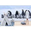 Penguin Family Wallpaper Wall Mural