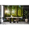 Green Trees Sunlit Forest Wallpaper Wall Mural