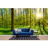 Sunlit Green Forest Panoramic Wallpaper Wall Mural