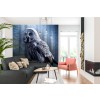 The Grey Owl Wallpaper Wall Mural