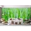 Green Wheat Field Food Kitchen Wallpaper Wall Mural