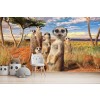 Famiglia Meerkat Fotomurali di David Penfound