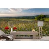 Countryside Spring Afternoon Wall Mural by Andrew Wheatley