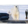 Polar Bear Protects Cub Wall Mural by Steve Kazlowski - Danita Delimont