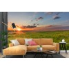 Sunset over Prairie Grasslands Wall Mural by Chuck Haney - Danita Delimont