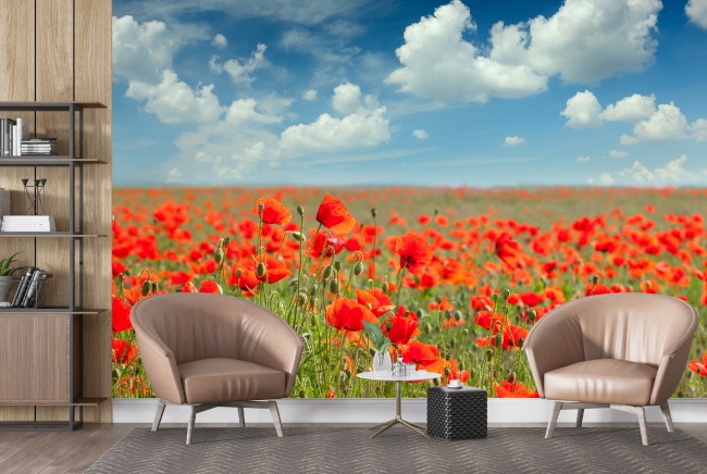 Red Poppy Flower Wall Mural Blue Sky Wallpaper Living Room