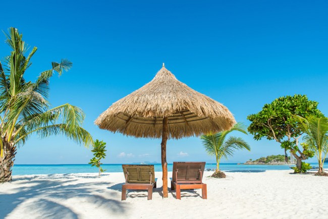 Tropical Parasol Beach Wallpaper Wall Mural