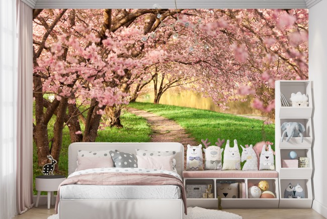 Cherry Blossom Path Wallpaper Wall Mural