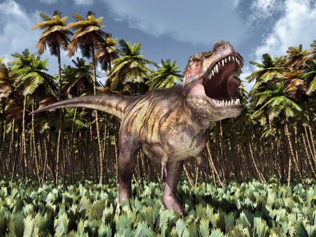 T Rex Wallpaper Wall Mural