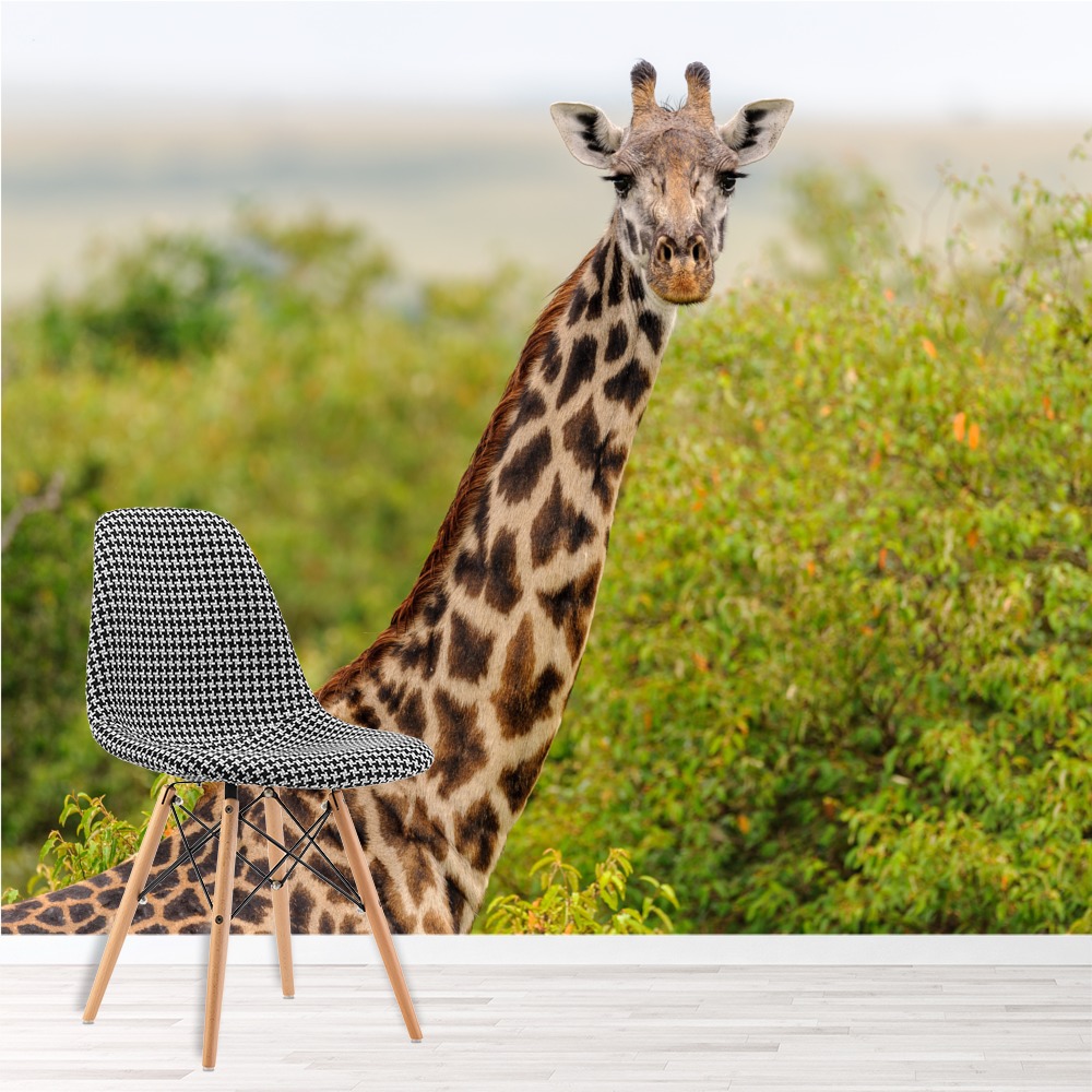 Giraffe Wall Mural Safari Animal Wallpaper Kids Bedroom ...