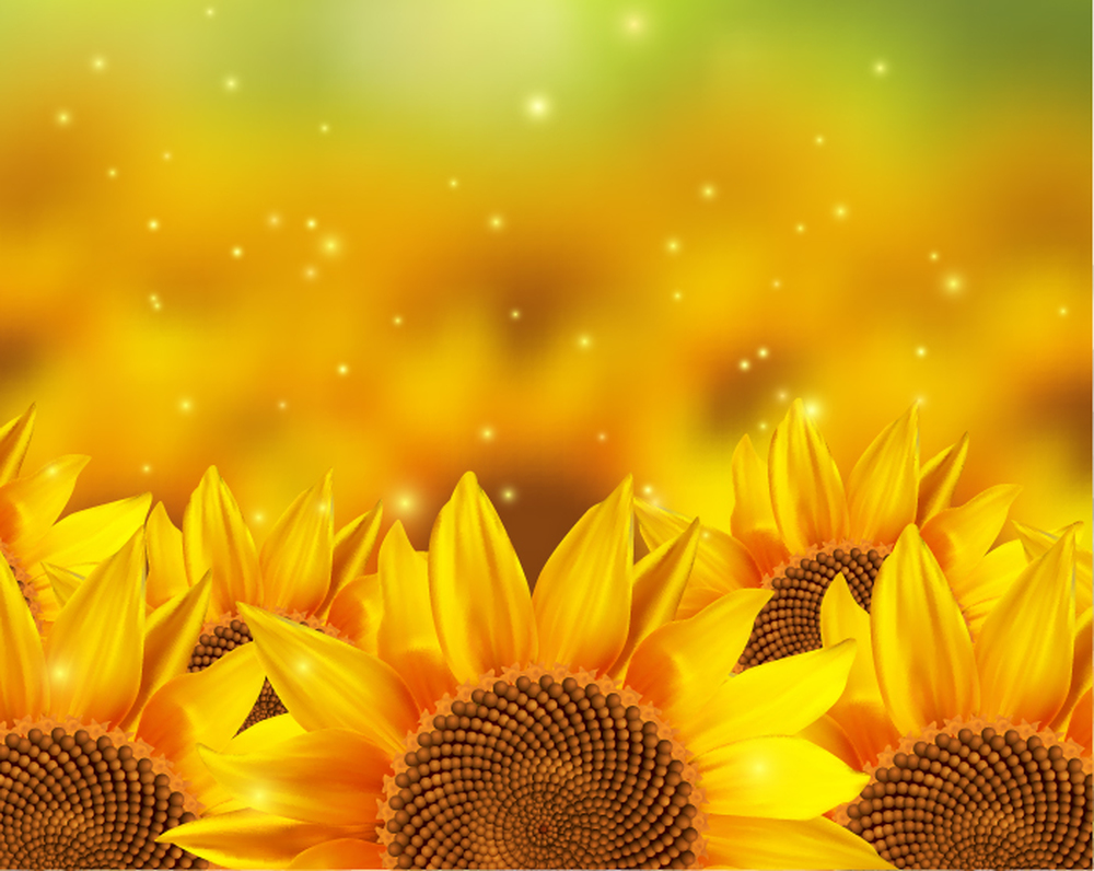 Yellow Sunflower Wallpaper Wall Mural