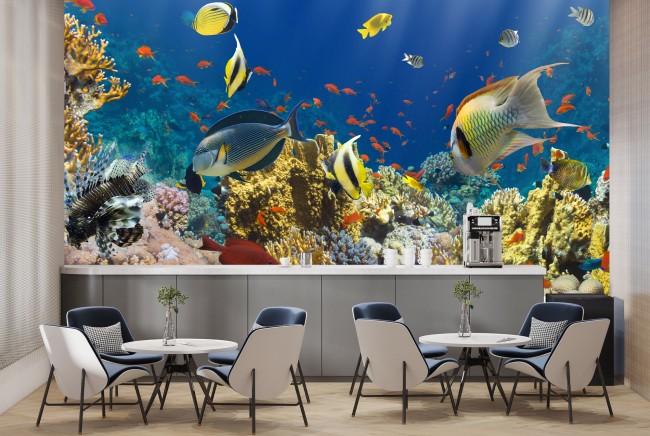 Under The Sea Wall Mural Tropical Fish Wallpaper Bathroom ...