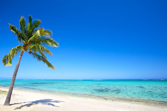 Beach shop scene wallpaper