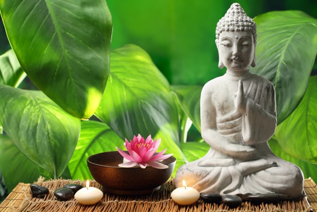 Buddha nature hotsell