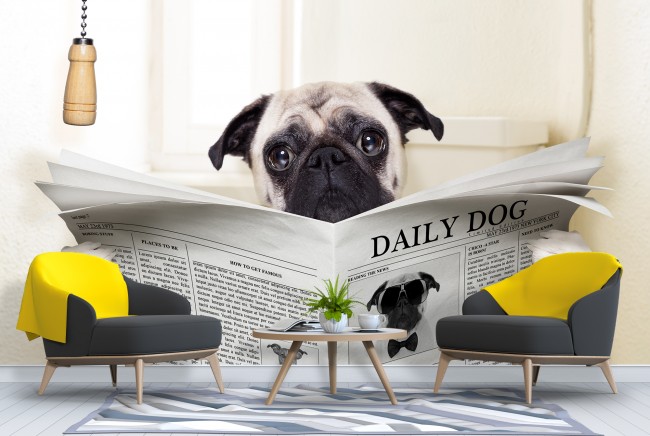 Funny Animal Wall Mural Pug Dog Wallpaper Bathroom Bedroom ...