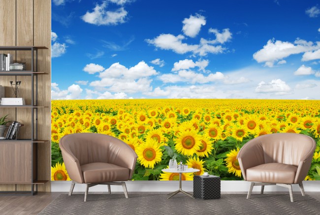 Sunflower Field Wallpaper Wall Mural