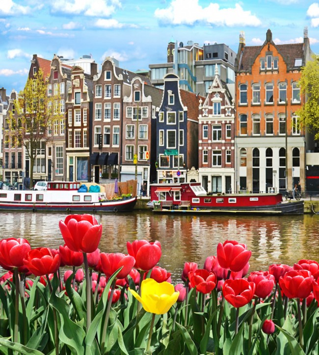 Amsterdam Houses Wallpaper Wall Mural