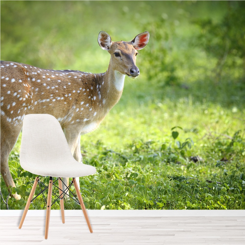 Deer Wall Mural Green Forest Wallpaper Girls Bedroom ...