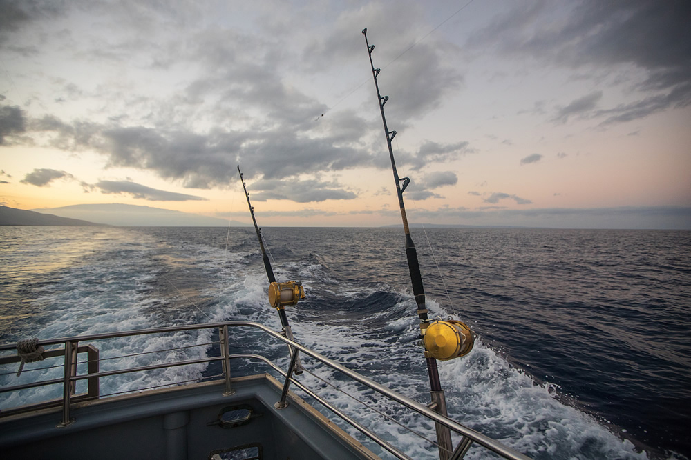 Deep Sea Fishing Wallpaper Wall Mural