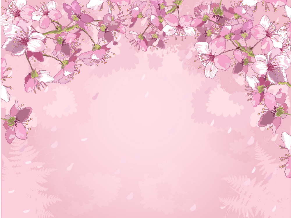 Pink Cherry Blossom Wallpaper Wall Mural