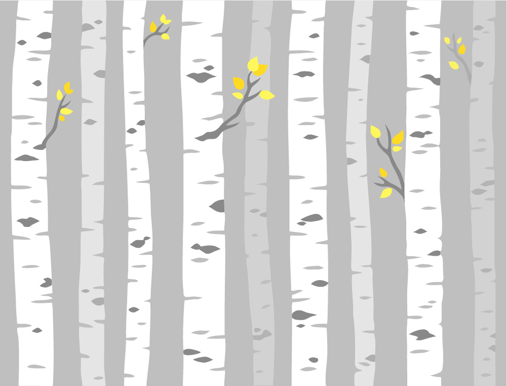 grey birch tree wallpaper wall mural