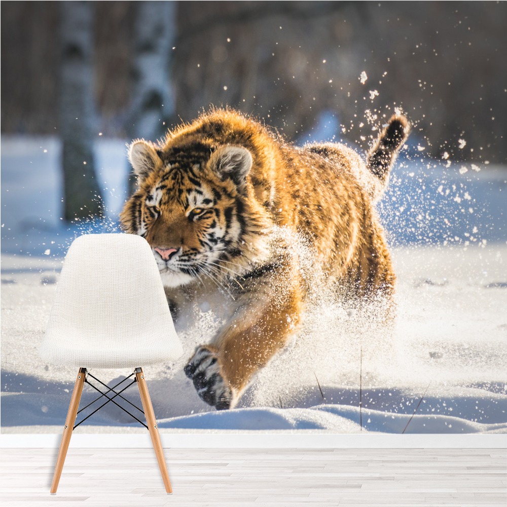 Siberian Tiger White Winter Wallpaper Wall Mural