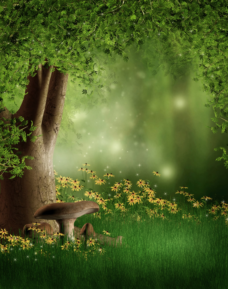 Fairy Forest Lights Wallpaper Wall Mural