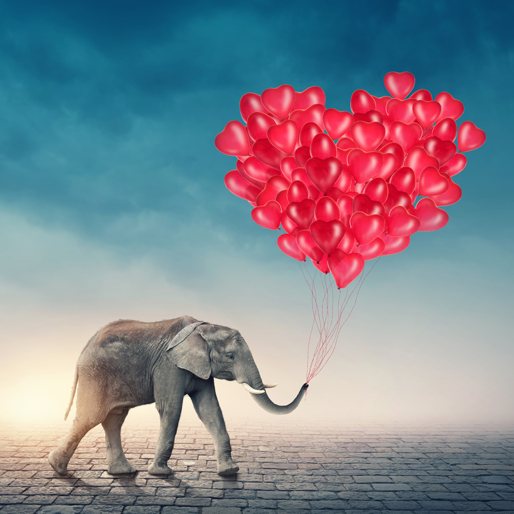Elephant Red Heart Balloons Wallpaper Wall Mural