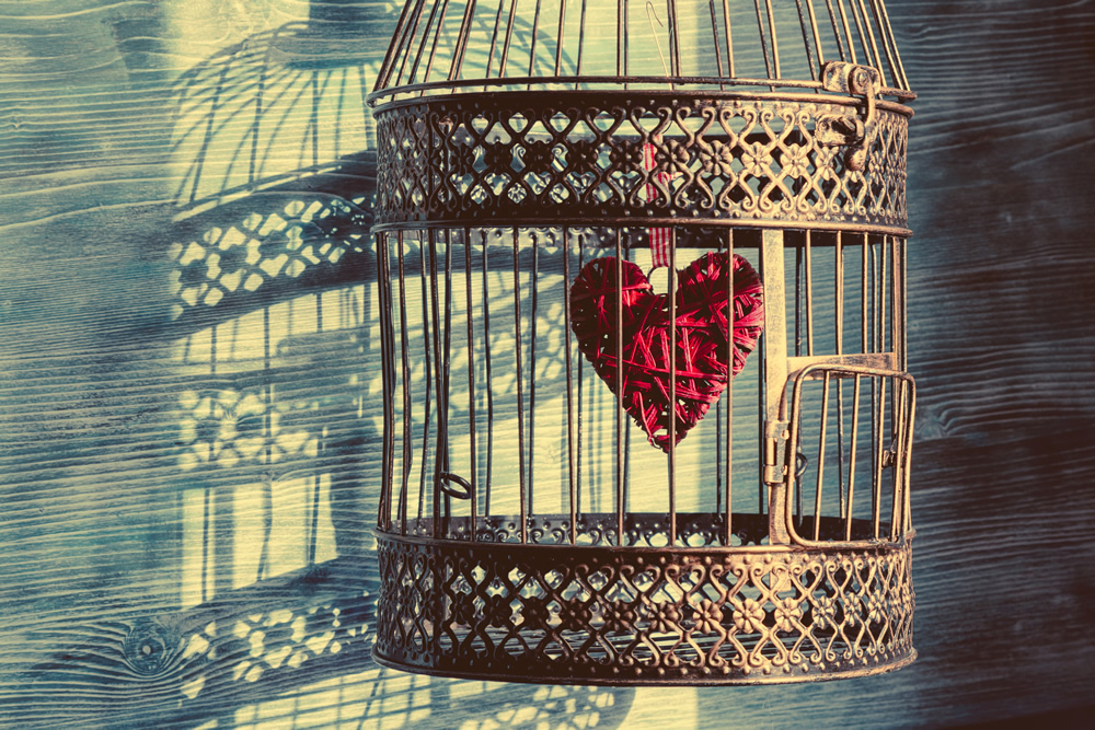 Vintage Bird Cage Heart Wallpaper Wall Mural