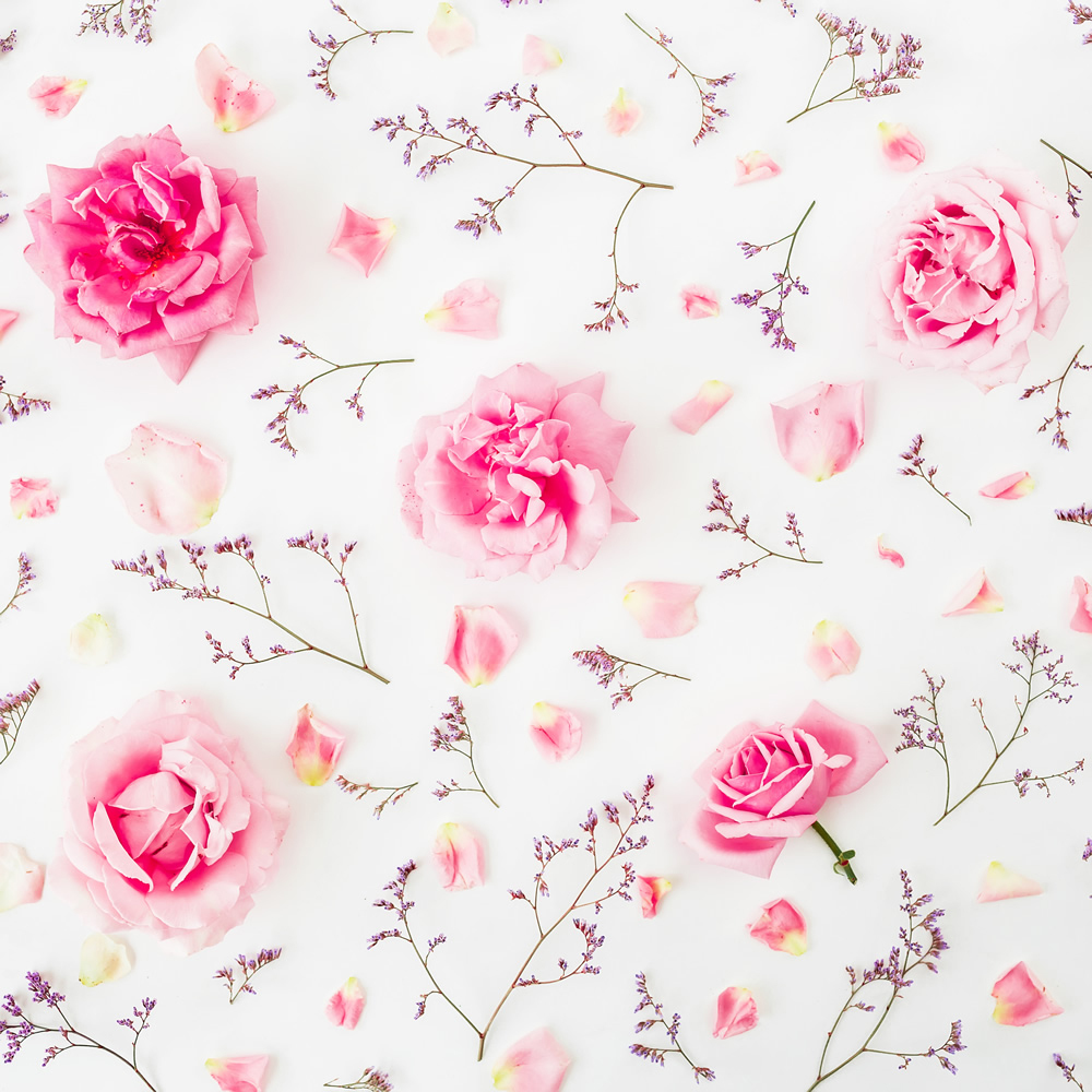 Pink Wild Roses Wallpaper Wall Mural