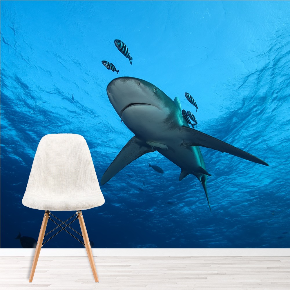 Hunting Shark Wallpaper Wall Mural