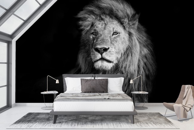 Lion Portrait Wallpaper Wall Mural