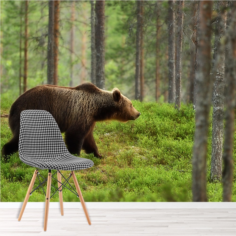 Brown Bear In Forest Woodland Wallpaper Wall Mural