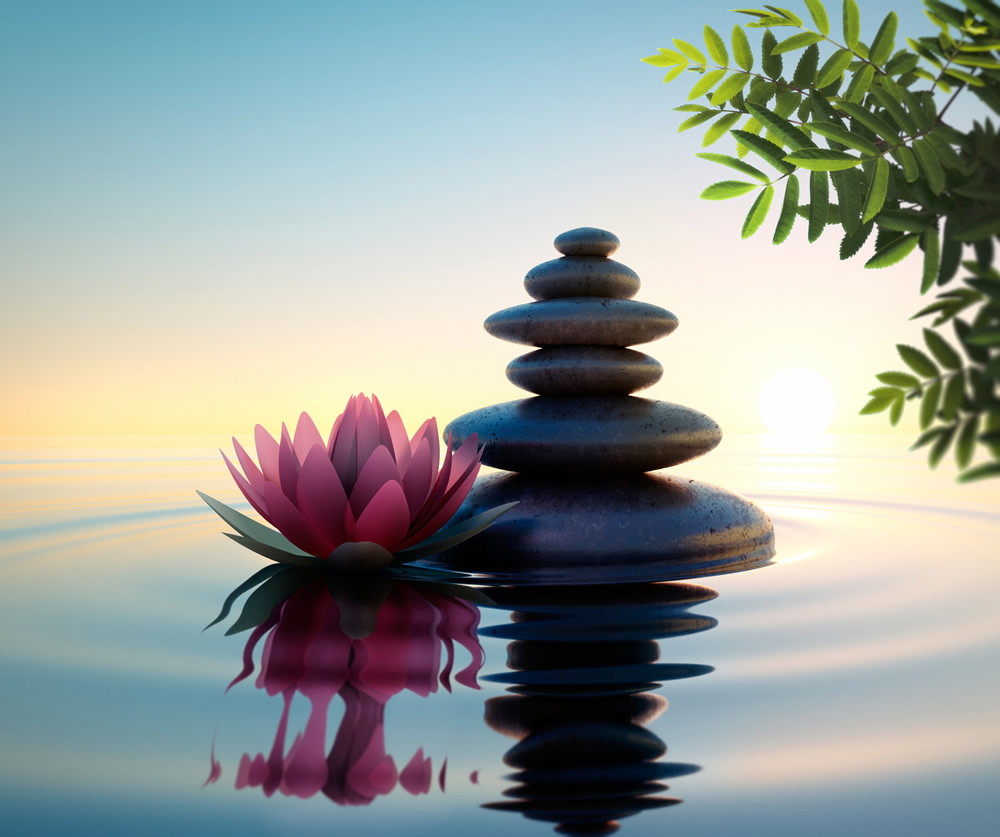 Pink Lotus Flower Calm Water Wallpaper Wall Mural