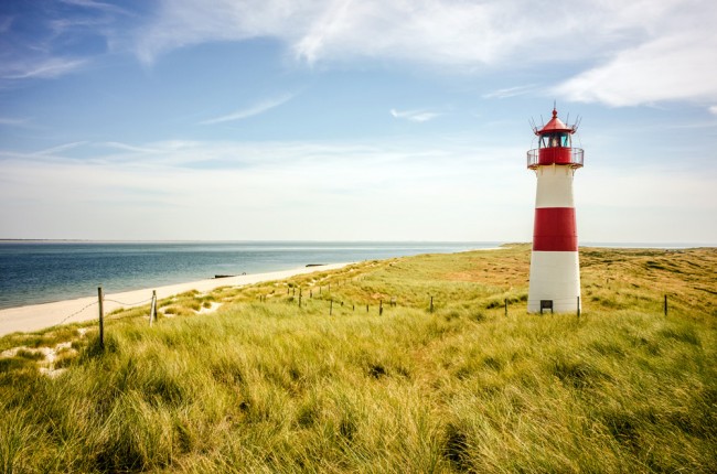 The lighthouse wallpaper sale