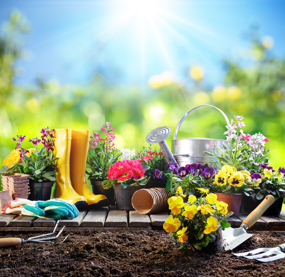 Spring Garden Flowers Wallpaper Wall Mural