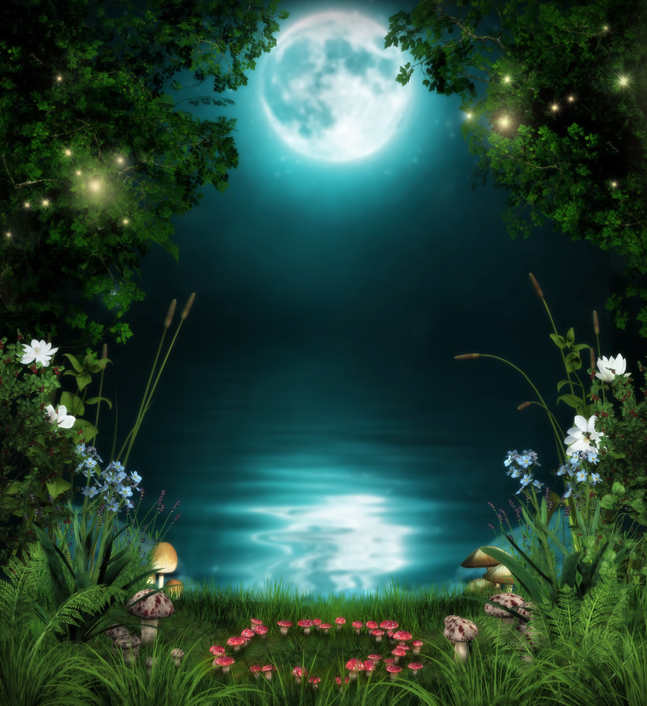 Full Moon Fairy Forest Wallpaper Wall Mural